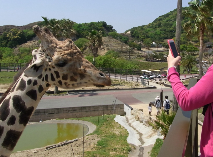 2015 4月の旅 アドベンチャーワールド4.jpg
