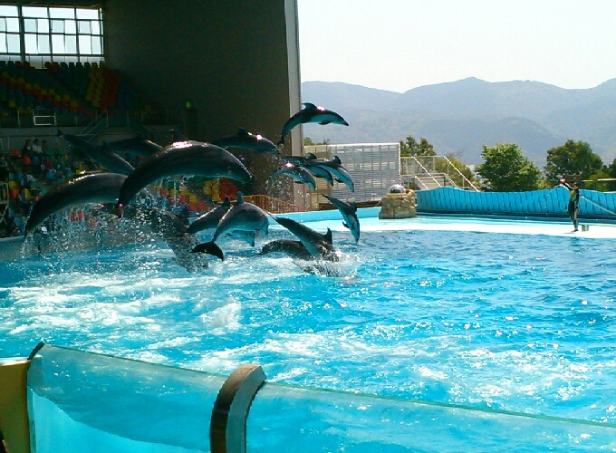 2015 4月の旅 アドベンチャーワールド5.jpg