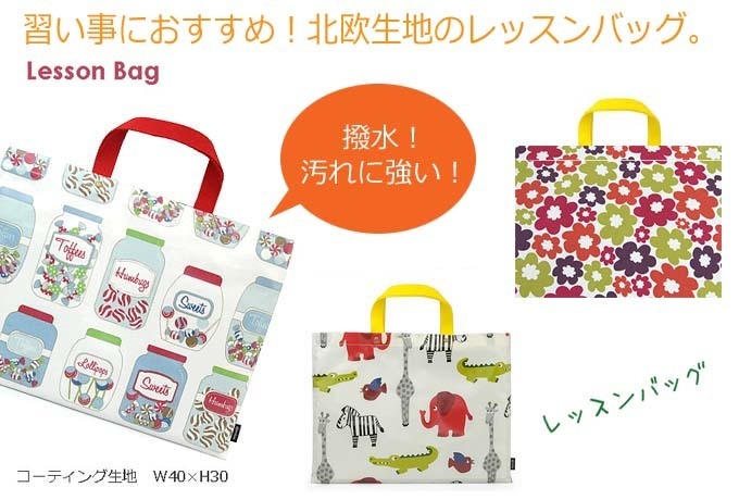 北欧生地レッスンバッグ.jpg