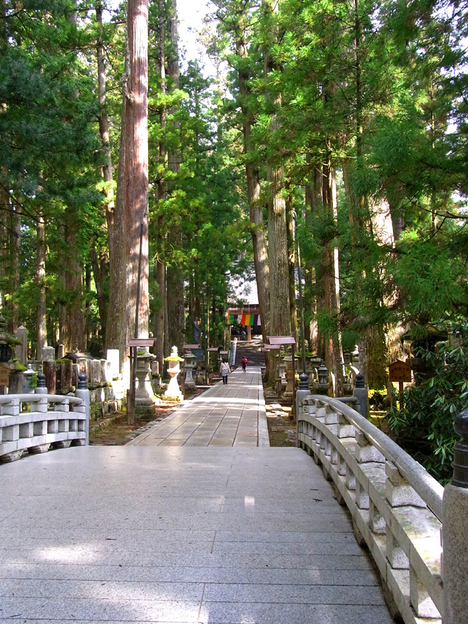 巡拝_高野山奥の院_2.jpg
