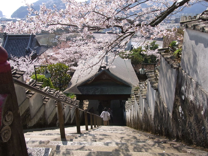 桜_2.jpg