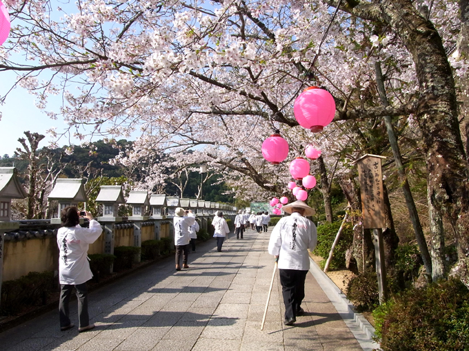 桜_4.jpg