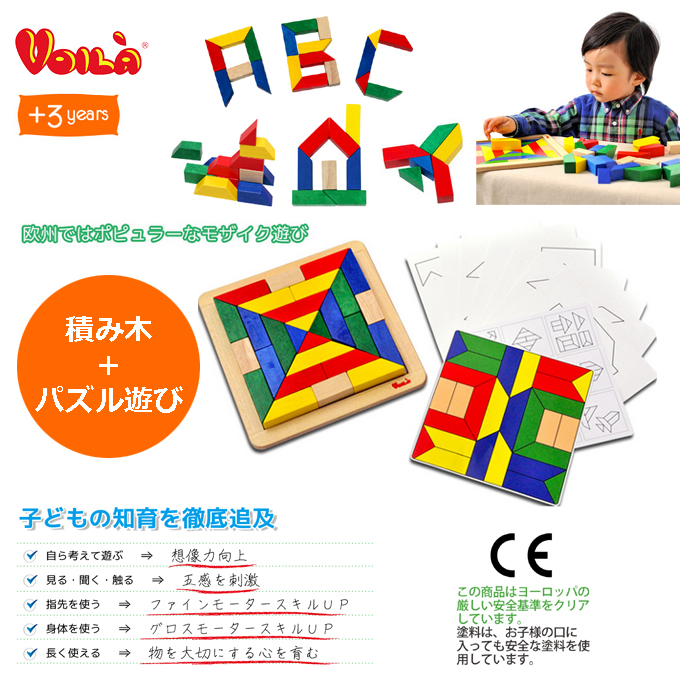 積み木+パズル遊び Voila社 ヴァーサタイルズ.jpg