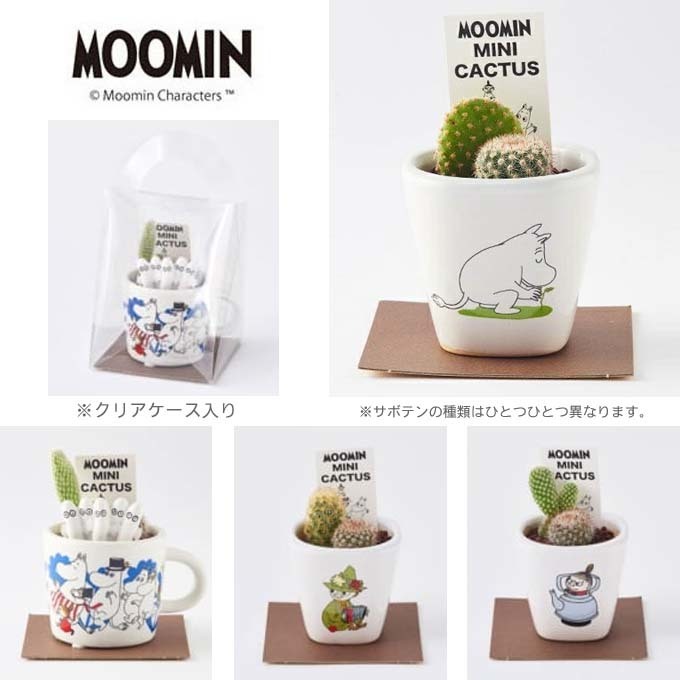 MOOMIN ムーミン ミニカクタス ケース付 ギフト.jpg